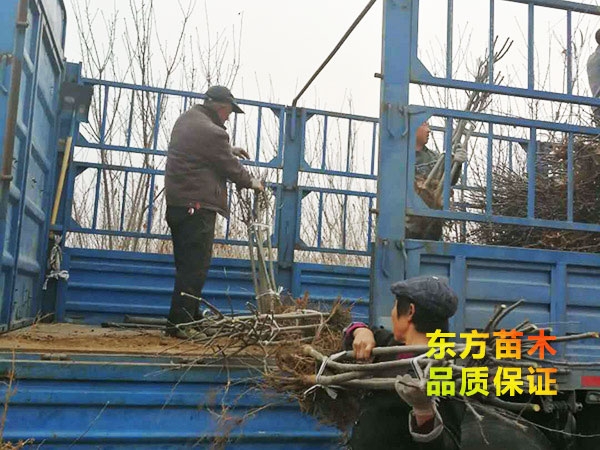 裝車現(xiàn)場(chǎng)