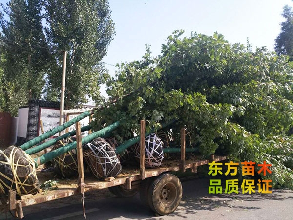 裝車現(xiàn)場(chǎng)